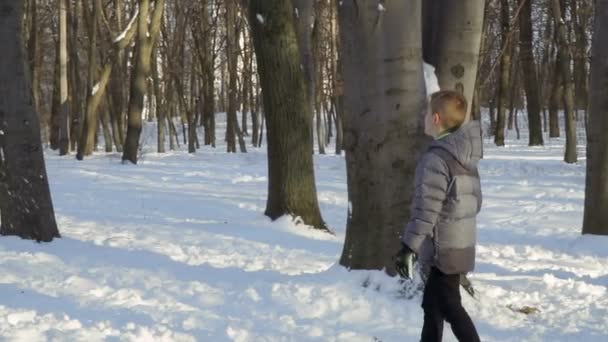 Tres hermanos juegan bolas de nieve en el parque de invierno, cámara lenta — Vídeos de Stock