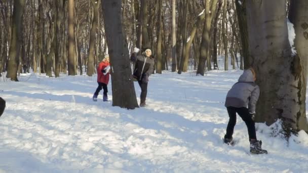 Irmãos bonitos jogar bolas de neve no parque de inverno — Vídeo de Stock