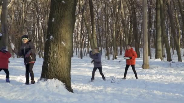 Чотири брати грають у сніжки в зимовому парку, повільний рух — стокове відео