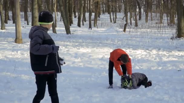 Хлопчики грають зі снігом в зимовому парку — стокове відео
