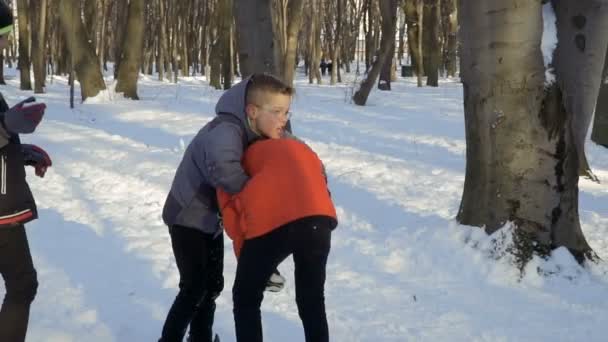 Tres Hermanitos Peleando Entre Parque Invierno Los Niños Lindos Pasan — Vídeo de stock