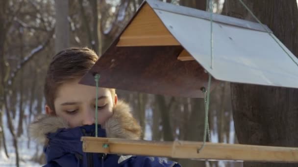 Підліток поклав невеликий шматок хліба в годівниці для птахів — стокове відео