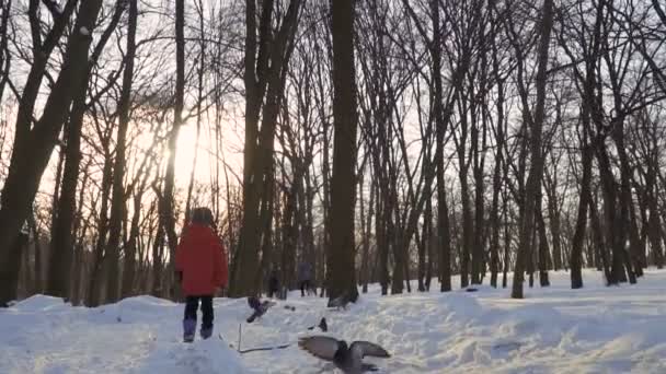 Мальчики бегают в зимнем парке в замедленной съемке — стоковое видео