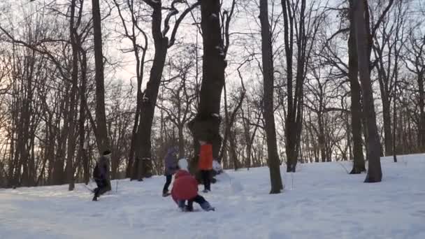 I bambini fanno pupazzo di neve nel parco invernale, rallentatore — Video Stock