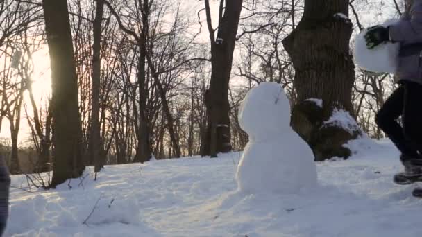 少年は、スローモーションで冬の公園で雪だるまを作る — ストック動画