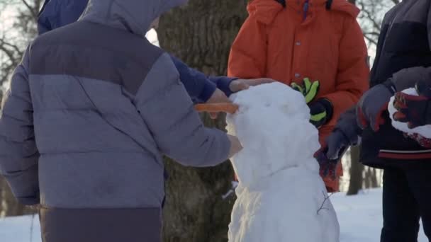 Пять мальчиков делают снеговика вместе в зимнем парке — стоковое видео