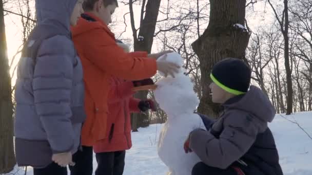 Хлопці роблять сніговика в зимовому парку, камера в повільному русі — стокове відео