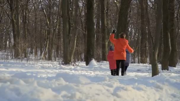 Três irmãos jogar bolas de neve no parque de inverno, câmera lenta — Vídeo de Stock