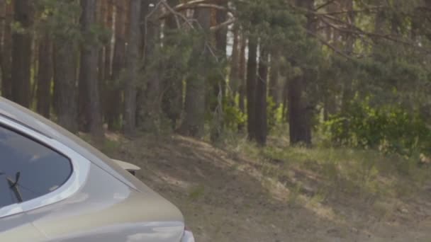 Βόλτα Νεαρός Άνδρας Στο Σύγχρονο Αυτοκίνητο Φίλη Του Υπέροχο Ζευγάρι — Αρχείο Βίντεο