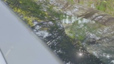 Mutlu çift arabada dans. Gençler eğlenceli ve hareketli ellerin var. Ağır çekim.