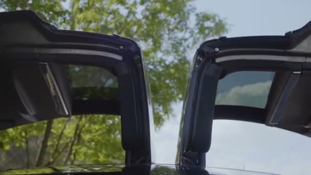 Fermeture Des Portes Automatiques Voiture Électrique Contre Les Arbres Verts — Video