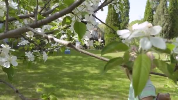 Ένα Κοριτσάκι Sniffing Λουλούδια Ένα Δέντρο Και Τρομαγμένος Από Μέλισσες — Αρχείο Βίντεο