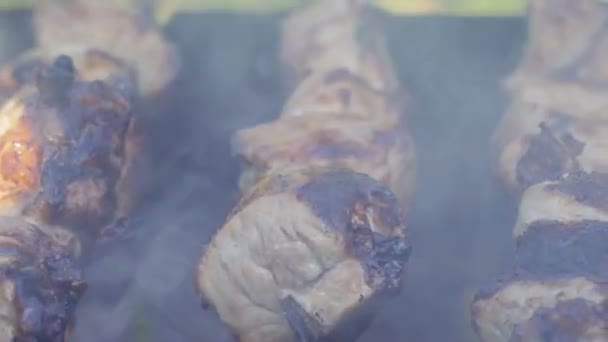 おいしいバーベキューは自然な炭火焼きのフライパンします 屋外のピクニック — ストック動画