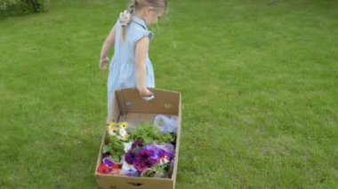 Şirin litle kız çekme cardbox th Çim bahçe üzerinde Petunya ile. Bahçe işleri yapmak için çok güzel çocuk çalışır ve yardım Anne.