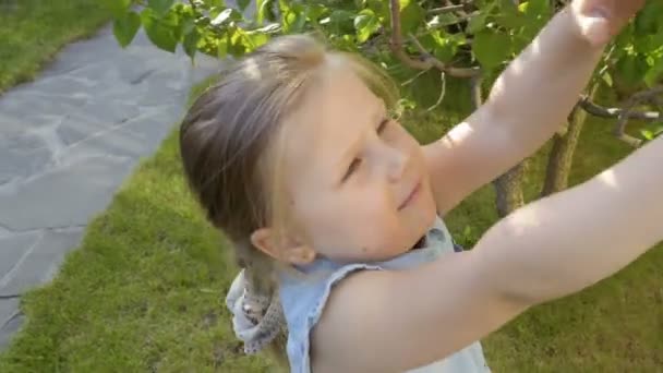 可爱的小女孩触摸丁香花和微笑 可爱的孩子探索周围环境 — 图库视频影像