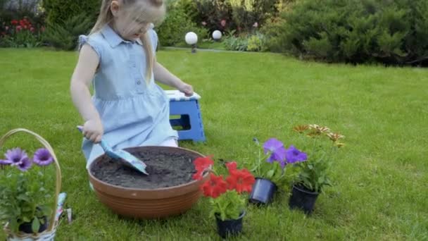 小女孩在花园里种花 可爱的孩子把花从塑料盆里移植到一个大的粘土锅里 里面有很多泥土 漂亮的女孩用铁锹挖土 把植物放进去 — 图库视频影像