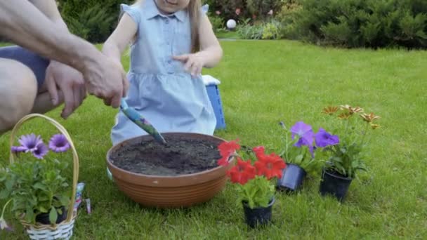 Padre Hija Pequeña Replantan Flores Maceta Plástico Maceta Barro Familia — Vídeo de stock