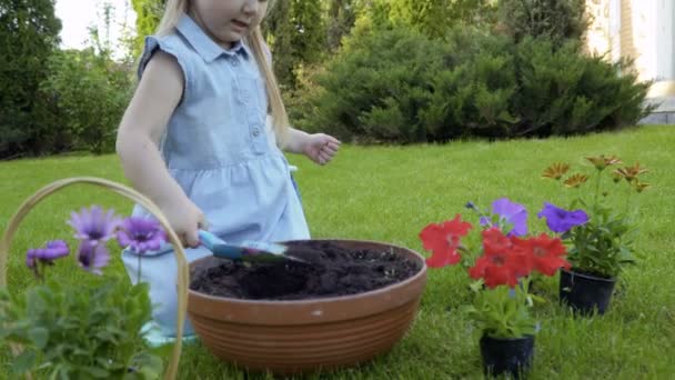 Niña Trabaja Con Flores Jardín Adorable Niño Replantar Flores Macetas — Vídeo de stock