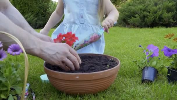 父と幼い娘は 土鍋にプラスチック製のポットから花を植え 家族が一緒に園内で自然で働く — ストック動画