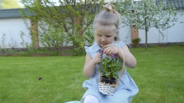 庭の花のバスケットのかわいい女の子 かわいい子供の周りの環境を探る — ストック動画