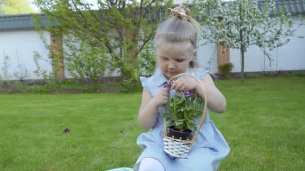 Menina Bonito Com Cesta Flores Jardim Criança Adorável Explorar Ambiente — Vídeo de Stock