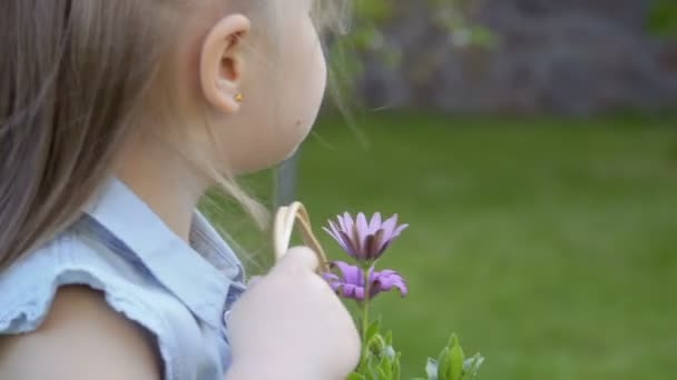 Menina Bonito Com Cesta Flores Jardim Criança Adorável Explorar Ambiente — Vídeo de Stock