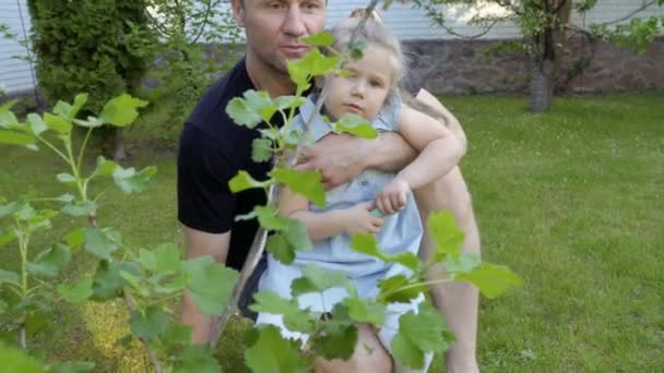Vater Hält Kleine Tochter Den Händen Und Zeigt Etwas Baum — Stockvideo