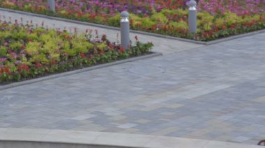 Scooter üzerinde mim