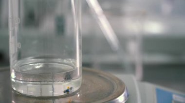 Bir kaba elektronik ölçeklerde viskoz sıvı dökme kimyager. Bilim adamı Deney Laboratuvar donatımı hazırlanıyor. Yakın çekim.