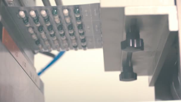 パッケージにカプセルをパッケージ化するプロセス カプセルでコンベヤです 医薬品工場で近代的な設備 錠剤カプセルを作るための機械 医薬品ラインの生産 — ストック動画
