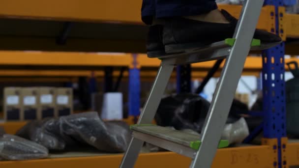 Mann steigt bei Lagerung von Leiter ab — Stockvideo