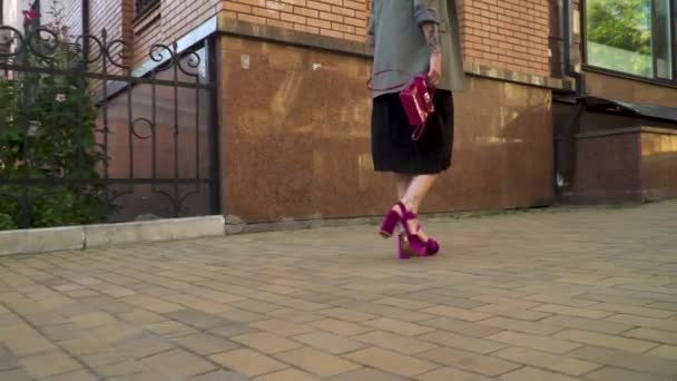 Modieuze brunette in stijlvolle kleding en schoenen lopen in de straat — Stockvideo