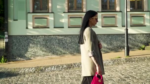 세련 된 갈색 선글라스와 슬로우 모션에서 걸어 핑크 가방 — 비디오