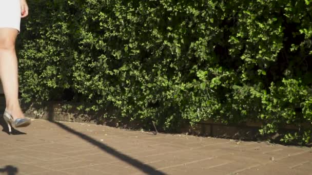 Женщина в элегантных серебряных туфлях на высоких каблуках идет рядом с зеленым кустом в замедленной съемке — стоковое видео