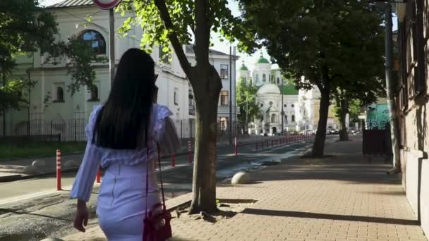 Κομψή γυναίκα μιλάμε στο τηλέφωνο, το περπάτημα στην πόλη — Αρχείο Βίντεο