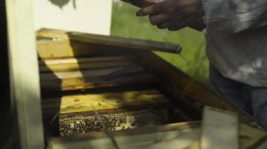 Apiarist kovan duran peteğin incelemek