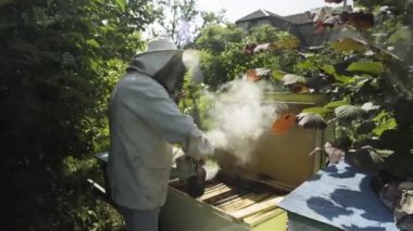 Arıcı fimugate kovan arı sigara içen ile