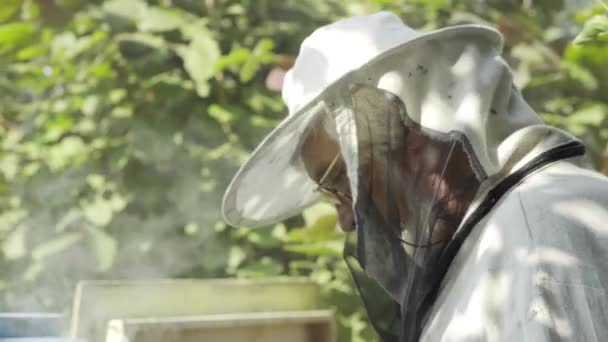 Apiculteur de travail en chapeau et voile de protection — Video