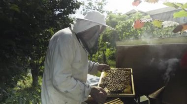 Koruyucu örtü ve şapka peteğin arılar ile teftiş arıcı