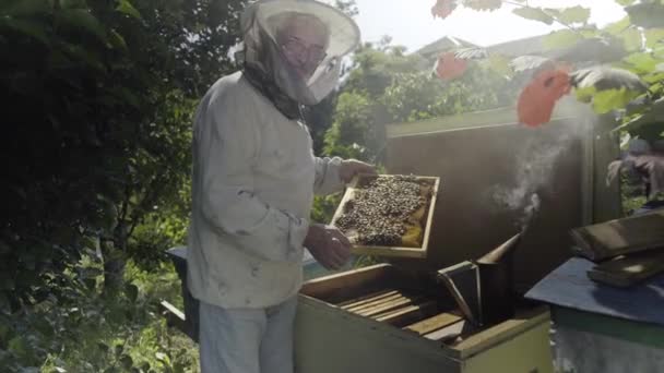 Пчеловод держит соты и стоит у открытого пчелиного улья в саду — стоковое видео