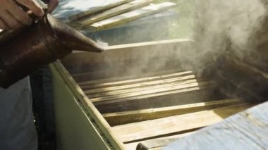 Arı sigara içen fümigasyon arı kovanı, yavaş hareket kullanarak arıcı