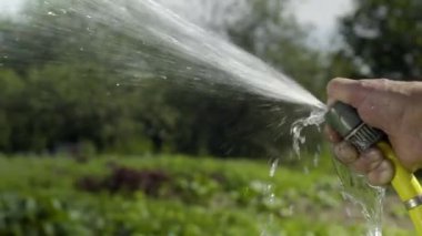 Olgun adam su hortumu yavaş hareket ile bahçe sulama