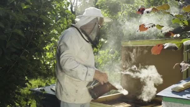 Apicultor em uniforme de proteção fumigar colmeia com fumante de abelha em câmera lenta — Vídeo de Stock