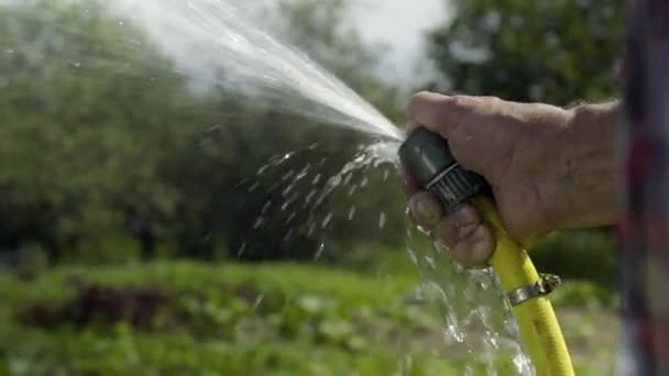 Senior man watering yard with water hose in slow motion — Stock Video