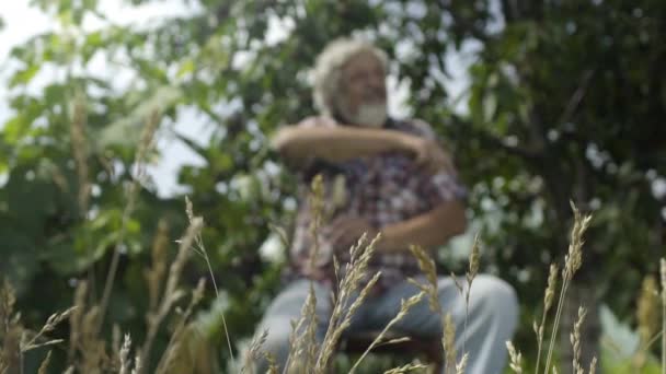 Homme mûr se détendre dans le jardin d'été — Video