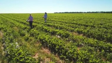 İki genç kız alan çileklere kutularıyla taşıyoruz