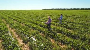 İki genç kız çilek sahasında çalışıyoruz