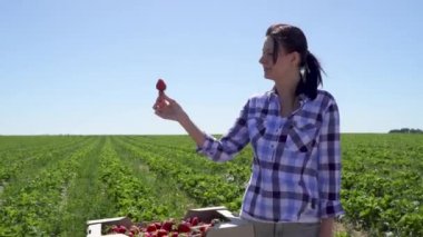 Çiftliğin arka plan çilek ayakta tutan genç güzel kız