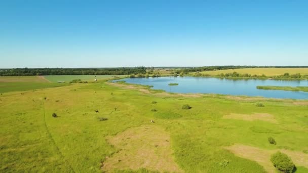 Удивительный вид на зеленый луг и голубое озеро от летающего дрона — стоковое видео
