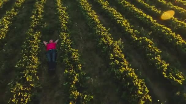 Ładna dziewczyna relaksujący na ziemi wśród rzędy krzewów truskawka — Wideo stockowe